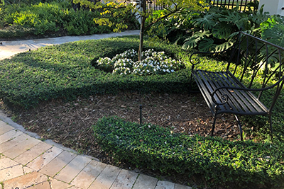 Landscape Maintenance